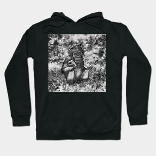 AnimalArtBW Chimpanzee 003 Hoodie